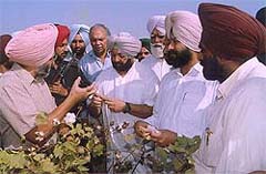 Mr K.S. Aulakh, Vice-Chancellor of Punjab Agriculture University, explains a point to Punjab Chief Minister Amarinder Singh