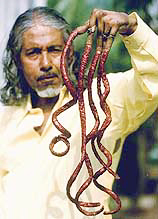 Murari Aditya exhibits his 108-inch-long nails