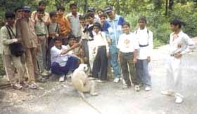 A spot of fun on the way to Neelkanth Mahadev.