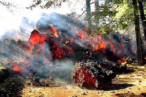 Large balls of volcanic lava burn trees and vegetation as they spew out of Mount Etna