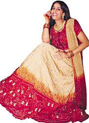 Photo by Pradeep Tewari