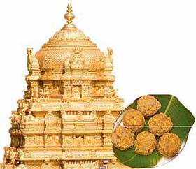 The ancient gold-gilded temple is one of the richest in India with annual income exceeding Rs 100 crore. (Right) Desi ghee laddoos one gets as prasadam are unique to the shrine