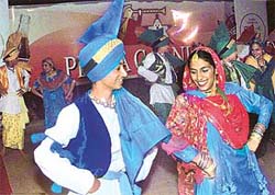 Festivity reigned supreme at The Tribune-sponsored Chandigarh Carnival, organised in Sector 17 plaza 