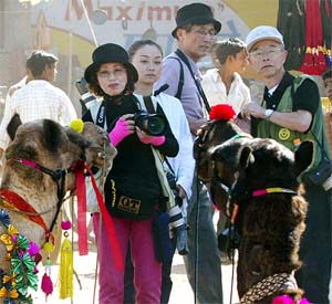 Japanese tourists take pictures of camels during the annual fair at Pushkar in Rajasthan