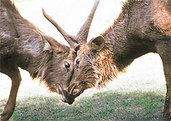 Not dear to each other