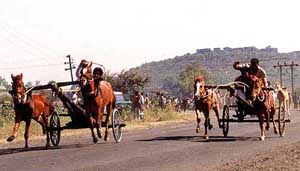 A horse-cart race