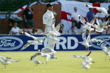 England captain Nasser Hussain is surrounded by seagulls