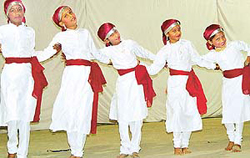Students perform at a cultural programme held in St. Stephen�s School