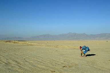 An Afghan girl carries bags full with empty plastic bottles back home