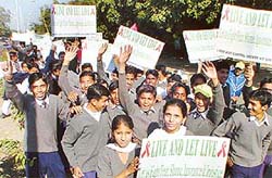 Students take part in an AIDS rally to mark World AIDS Day in Sector 17