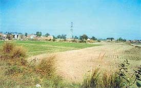 An agricultural field in New Puneet Nagar which was ploughed by the district administration during the 