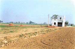 The disputed land at Jaspal Bangar village