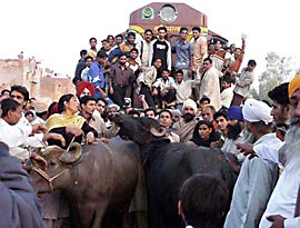 Milkmen demonstrate against the Municipal Corporation