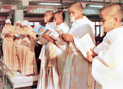 Seven youths who were baptised