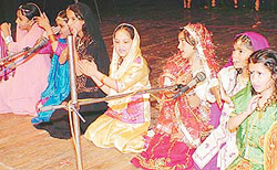 Students of Guru Teg Bahadur Public School, Sector 15, perform during their annual function 