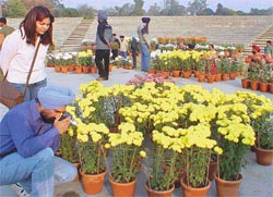 SHE DESIRES AND HE CAPTURES