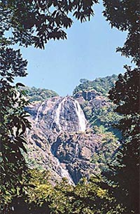 Efforts are on to rejuvenate tourism in Goa which has been monopolised by fly-by-night operators 