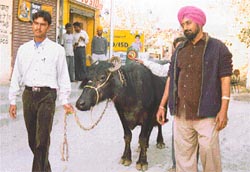 This happens only in India