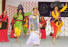 Students of Green Land Senior Secondary Public School present a cultural programme at their annual function 