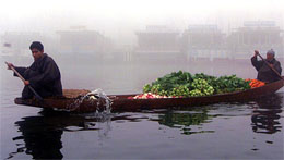A Kashmiri vegetable vendor rows his boat