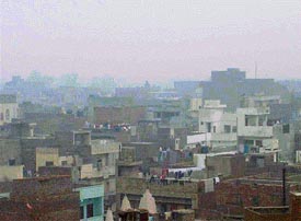 Ludhiana enveloped by fog in the wee hours