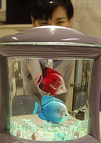 Rie Hama, an engineer at Eamex Corporation, looks into a fish tank