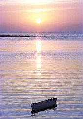 Dubey�s artwork sees the light of day