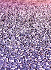 Mesmerising landscape