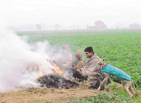 Farmers try to beat the cold on a foggy day by sitting around a bonfire