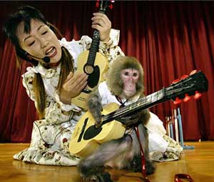 South Korean trainer Kim Mi-jung and her monkey Conan play guitars