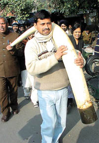 A Delhi court today postponed the remand hearing of Hardev Singh, who was arrested yesterday following the seizure of a python and wildlife trophies
