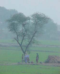 The good news is the slight rise in minimum temperature has given some respite to Delhiites reeling under the cold wave for over a week. 