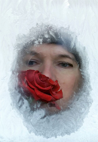 A flower vendor looks through her kiosk window