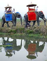 Mahouts ride elephants decorated in traditional garments
