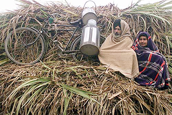 Milkmen hitch a ride with their bycycle