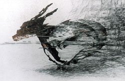 A shadow of the divine perfection