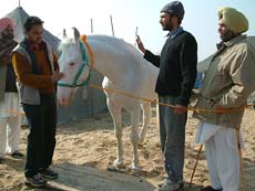 Farmers and traders strike a deal at Ghora Mandi