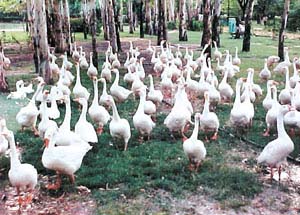 Out of the woods, basking in the sunshine.