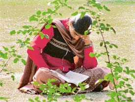 A student goes through her notes while enjoying the sunshine in Ludhiana on Thursday.