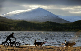Andy Smales from Milton Keynes runs his Huskie dogs along the shore of Loch Morlich