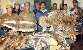The Delhi Police and Wildlife Department do not rest on their laurels