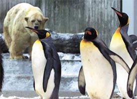 Big brother is watching