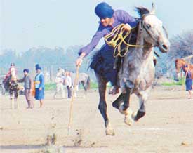 A Nihang youth shows his skills in tent-pegging