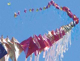 150 kites flying together on the final day of sports festival