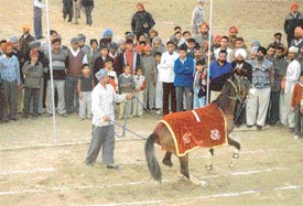 A horse and its trainer display their talent