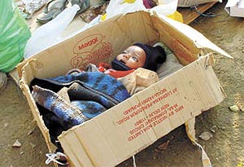 MAMA'S BIG DREAM IN A SMALL CARTON!�