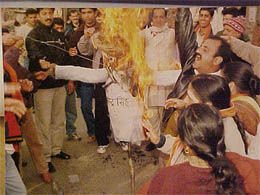 BJP activists burn an effigy of Capt Amarinder Singh