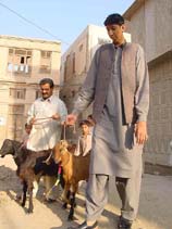 Naseer Soomro, Pakistan's tallest man 