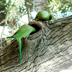 Getting ready for a family. 