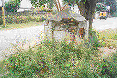 Wiled growth surrounds a foundation stone in Patiala.